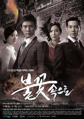 天长seo公司哪家专业